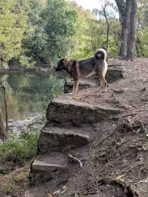 Freeman Prairie - Tipp City, OH