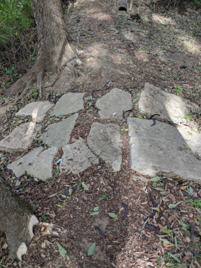 Freeman Prairie - Tipp City, OH