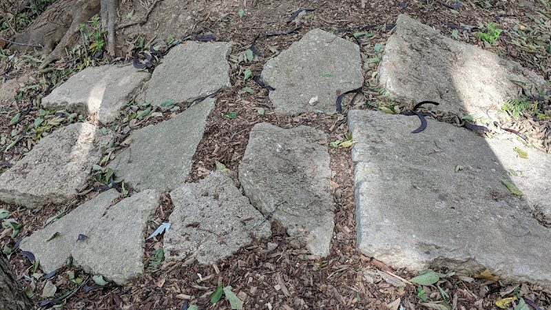 Freeman Prairie - Tipp City, OH