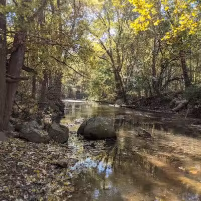 Honey Creek Preserve - Tipp City, OH