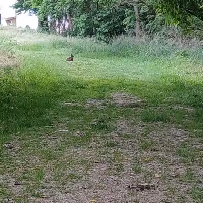 Honey Creek Preserve - Tipp City, OH
