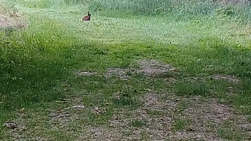 Honey Creek Preserve - Tipp City, OH