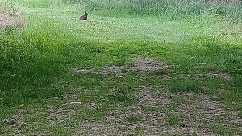 Honey Creek Preserve - Tipp City, OH