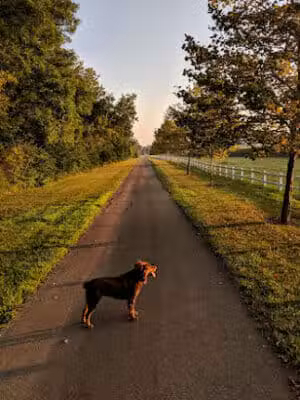 Kyle Park - Tipp City, OH