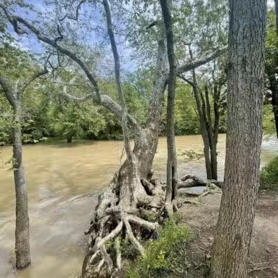 Roger Presley Trail and Garden - Tipp City, OH