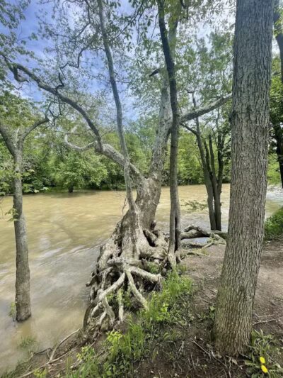 Roger Presley Trail and Garden - Tipp City, OH