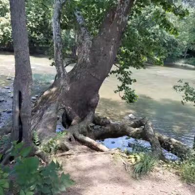 Roger Presley Trail and Garden - Tipp City, OH