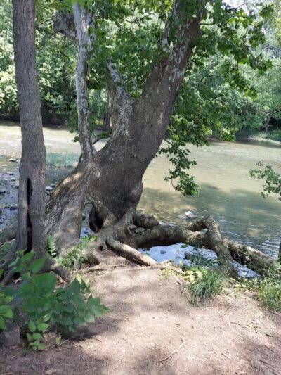 Roger Presley Trail and Garden - Tipp City, OH