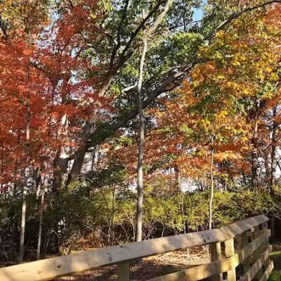 Tipp City Eagles Park - Tipp City, OH