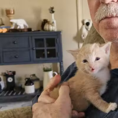 Tipp to Tail Pet Resort and Spa - Tipp City, OH