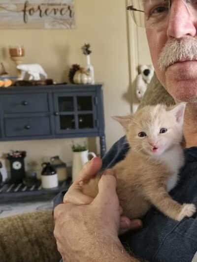 Tipp to Tail Pet Resort and Spa - Tipp City, OH