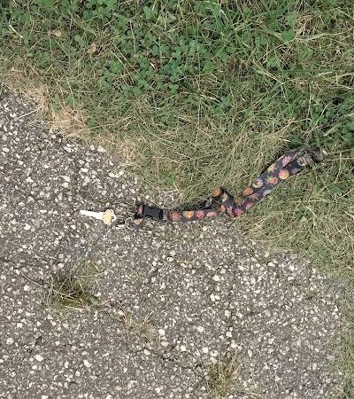 Bennett Park - Toledo, OH