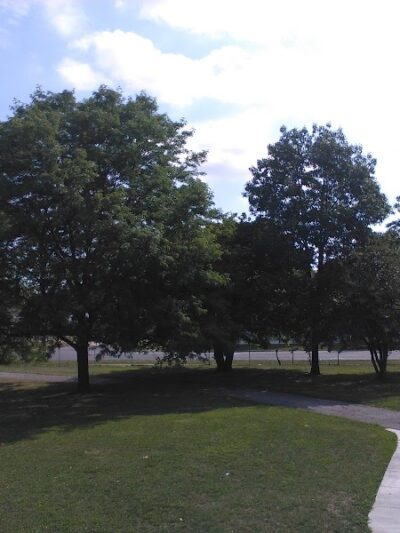 Bennett Park - Toledo, OH