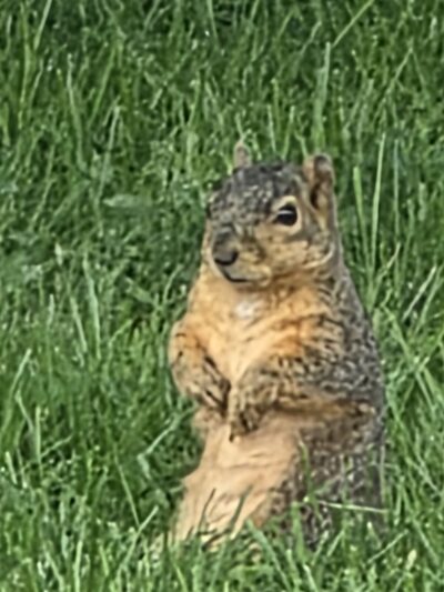 Close Park - Toledo, OH