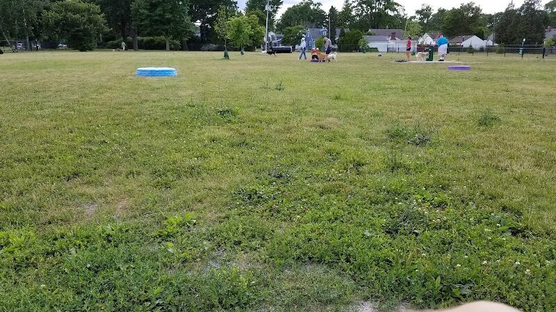 Glass City Dog Park (Membership Required) - Toledo, OH