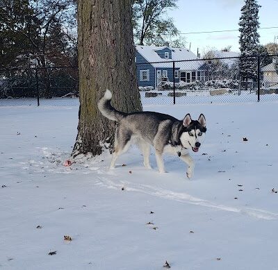 Glass City Dog Park (Membership Required) - Toledo, OH