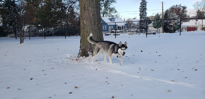 Glass City Dog Park (Membership Required) - Toledo, OH