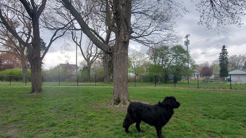 Glass City Dog Park (Membership Required) - Toledo, OH