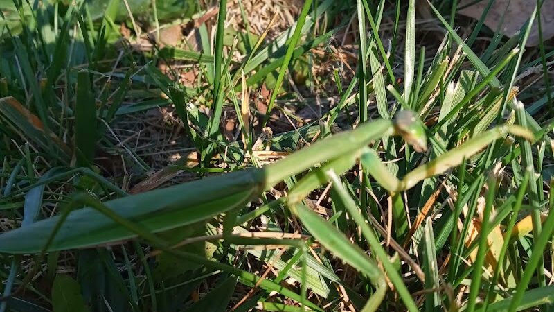 Liberty Park - Toledo, OH