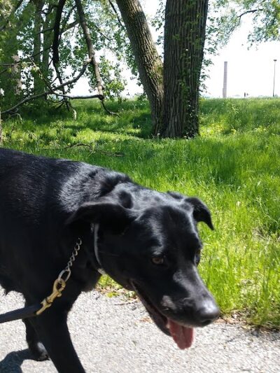 Liberty Park - Toledo, OH