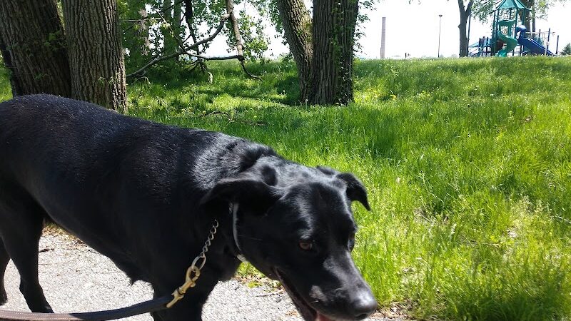 Liberty Park - Toledo, OH