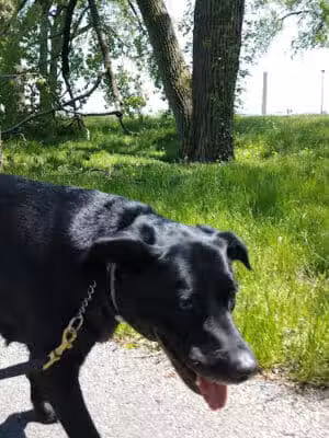 Liberty Park - Toledo, OH