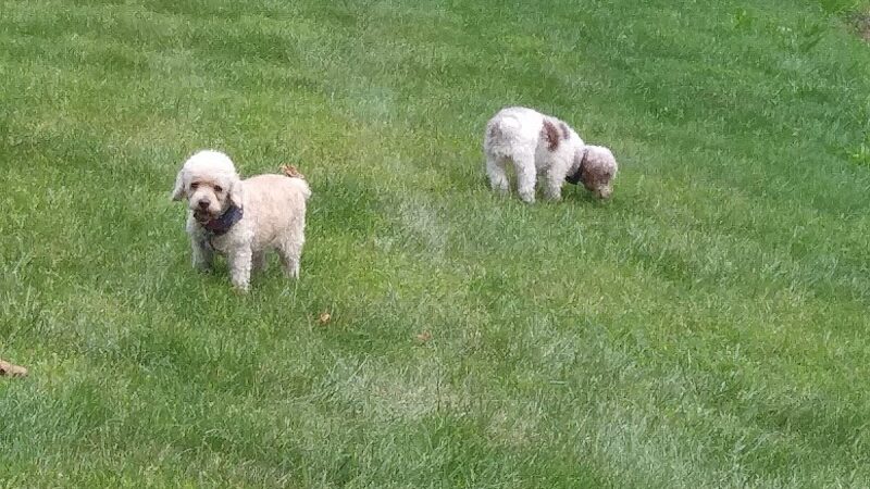 Liberty Park - Toledo, OH