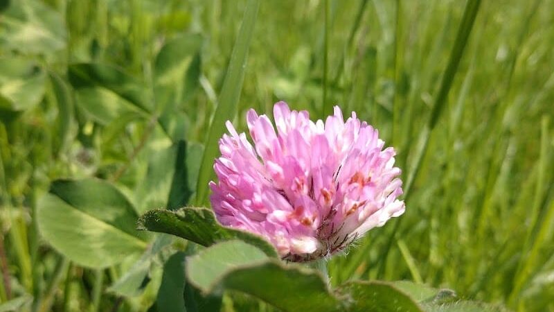 Liberty Park - Toledo, OH
