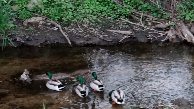 Lincoln Green Park - Toledo, OH