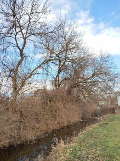 Lincoln Green Park - Toledo, OH