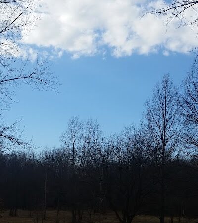 Swan Creek Preserve Metropark - Toledo, OH