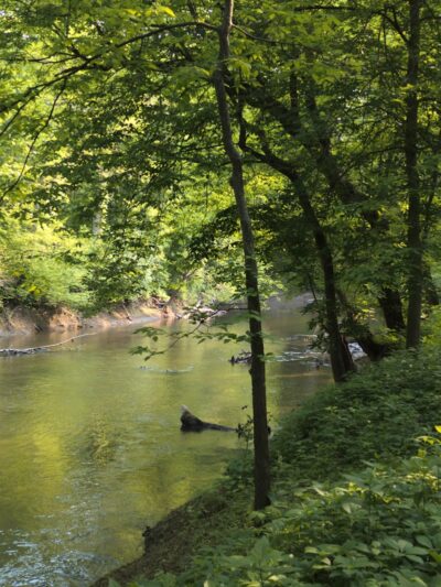 Swan Creek Preserve Metropark - Toledo, OH