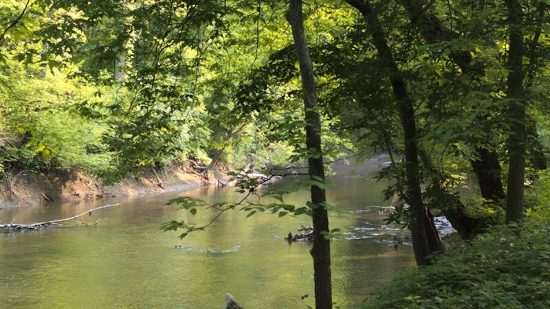 Swan Creek Preserve Metropark - Toledo, OH