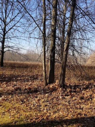 Swan Creek Preserve Metropark - Toledo, OH