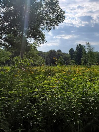 Swan Creek Preserve Metropark - Toledo, OH