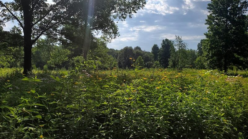 Swan Creek Preserve Metropark - Toledo, OH
