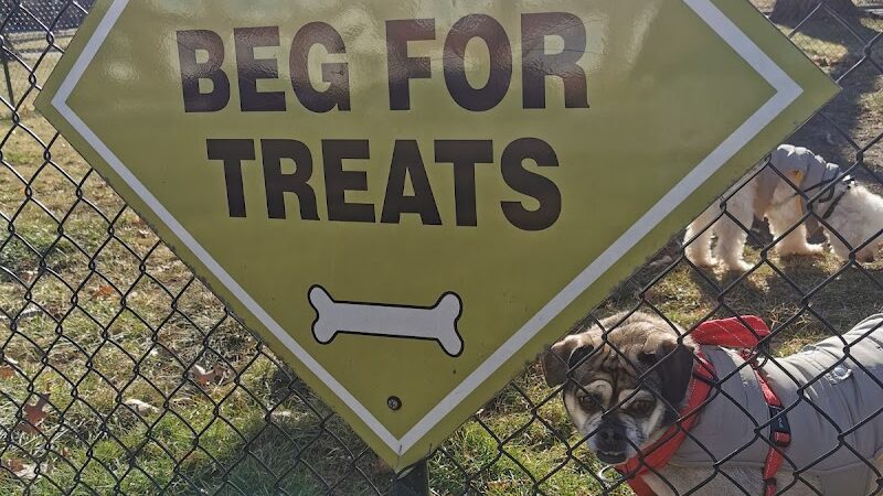 The Bark Park - Toledo, OH