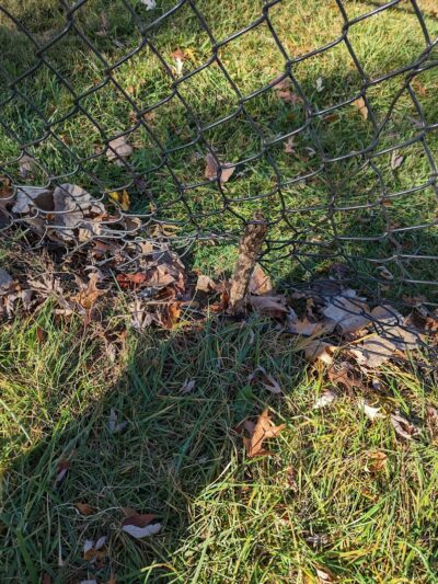 The Bark Park - Toledo, OH