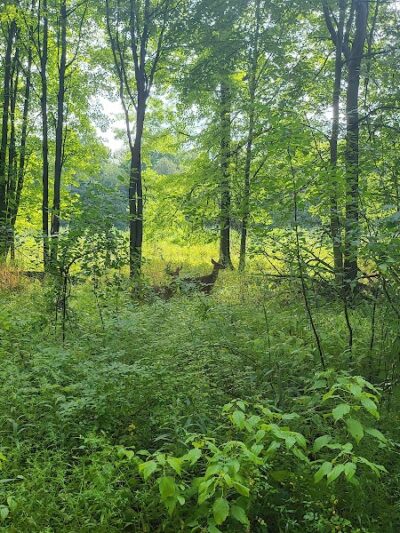 Wildwood Preserve Metropark - Toledo, OH