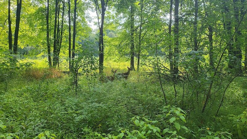 Wildwood Preserve Metropark - Toledo, OH