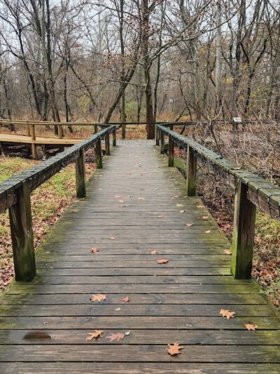 Wildwood Preserve Metropark - Toledo, OH