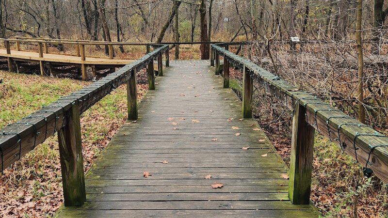 Wildwood Preserve Metropark - Toledo, OH