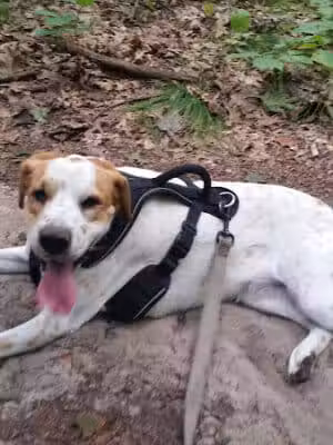 Wildwood Preserve Metropark - Toledo, OH