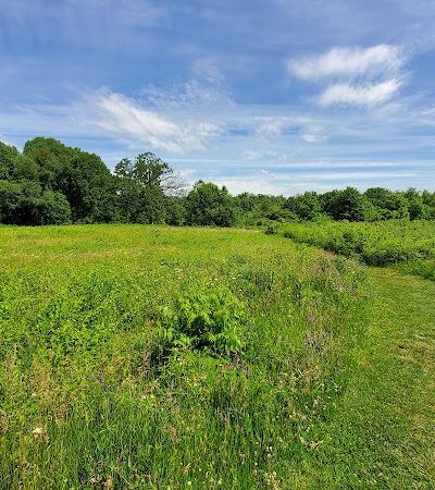 Wildwood Preserve Metropark - Toledo, OH