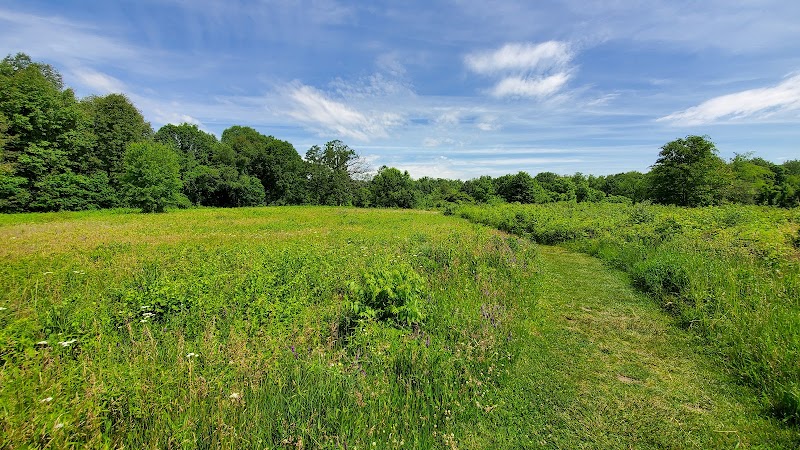 Wildwood Preserve Metropark - Toledo, OH