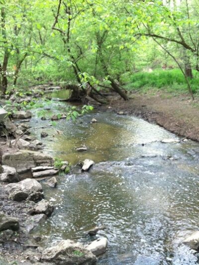 Wildwood Preserve Metropark - Toledo, OH
