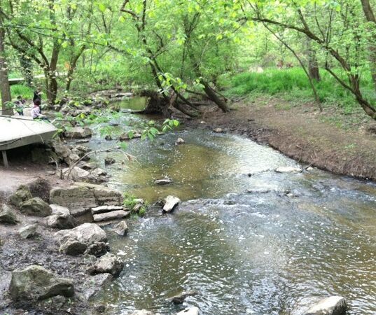 Wildwood Preserve Metropark - Toledo, OH
