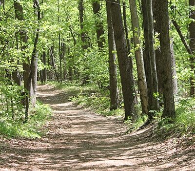 Wildwood Preserve Metropark - Toledo, OH