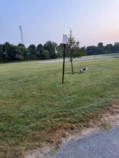 Woodsdale Park - Toledo, OH