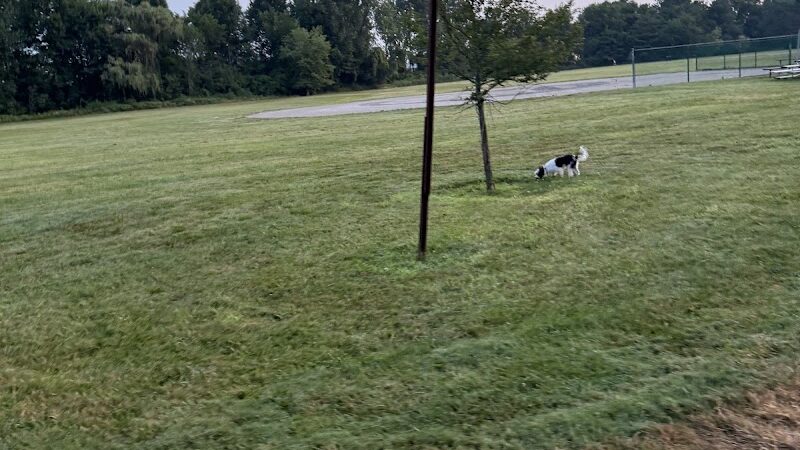 Woodsdale Park - Toledo, OH